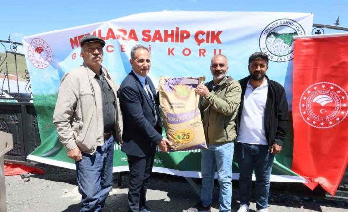 Sarıkamış’ta korunga tohumu dağıtıldı