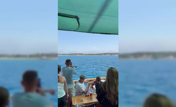 Side açıklarında Akdeniz foku görüntülendi, turistler hayretler içinde izledi