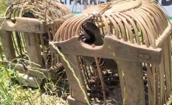 Siirt’te keklik avına 43 bin lira ceza