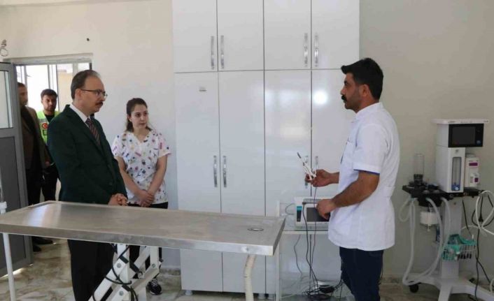 Siirt’te sahipsiz hayvanlar bu merkezde güvenli şekilde yaşamlarını sürdürüyor