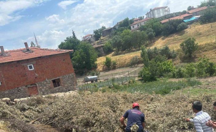Sındırgı’da koyun damı çöktü, 2 koyun telef oldu
