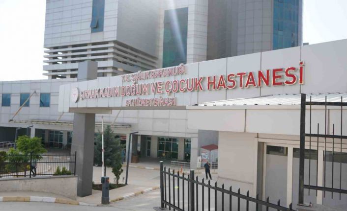 Şırnak’ın ebeleri anneliği anlattı