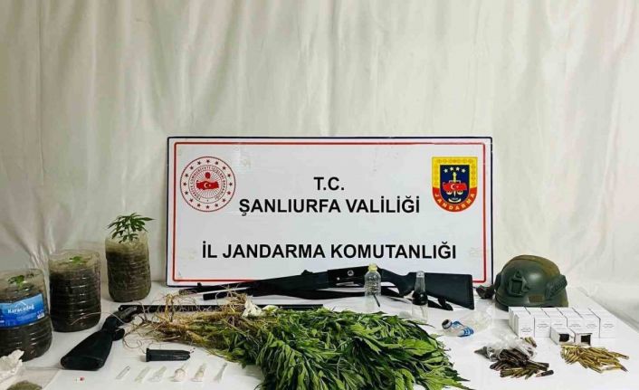 Siverek’te uyuşturucu operasyonu: 42 gözaltı