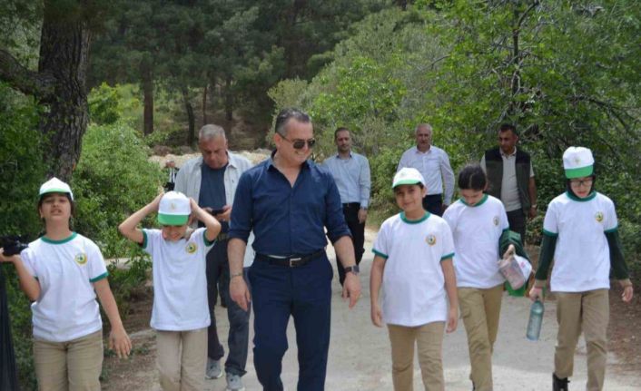 Soma’da ormanlar tertemiz oldu