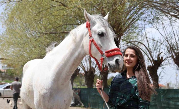 Tarihi dizilerde gördüler, biniciliğe merak saldılar