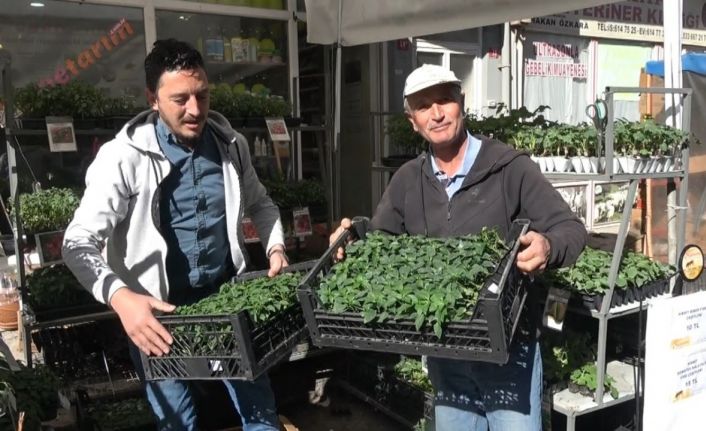 Tavşanlı’da fide çeşitliliği ile verimli sezon bekleniyor