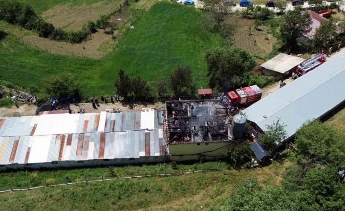 Tavuk çiftliğinde yangın: Binlerce hayvan telef olmaktan son anda kurtarıldı