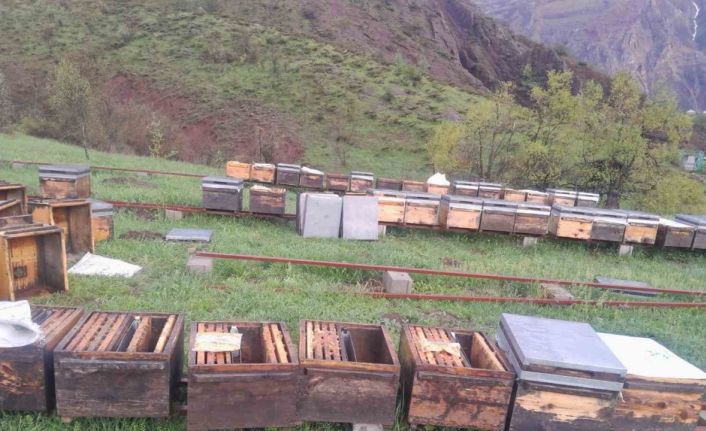 Tunceli Arı Yetiştiricileri Birliği Başkanı Doğan, "Fırtınadan zarar gören arıcılar TARSİM’e başvurmalı"