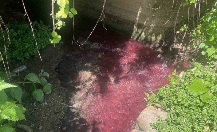 Turşu sulu renkli dereye çiftçiler de uzmanlar da tepkili