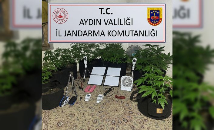 Uzaktan kontrolle metruk binada uyuşturucu yetiştirdi