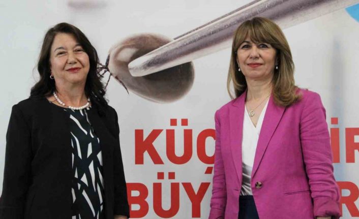 Uzmanından önemli uyarı: Keneyle ilgili doğru bilinen bu yanlışlar virüs riskini arttırıyor