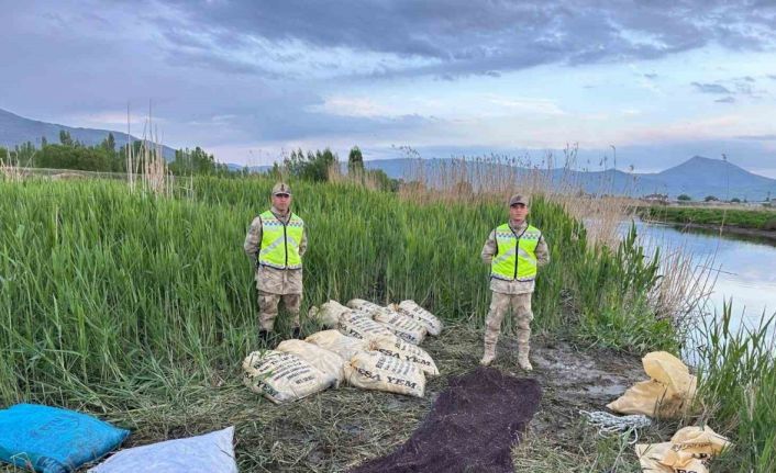 Van’da 3 ton 370 kilogram inci kefali ele geçirildi