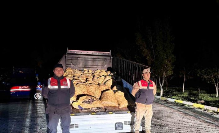 Van’da 3 ton 820 kilo kaçak avlanmış balık ele geçirildi