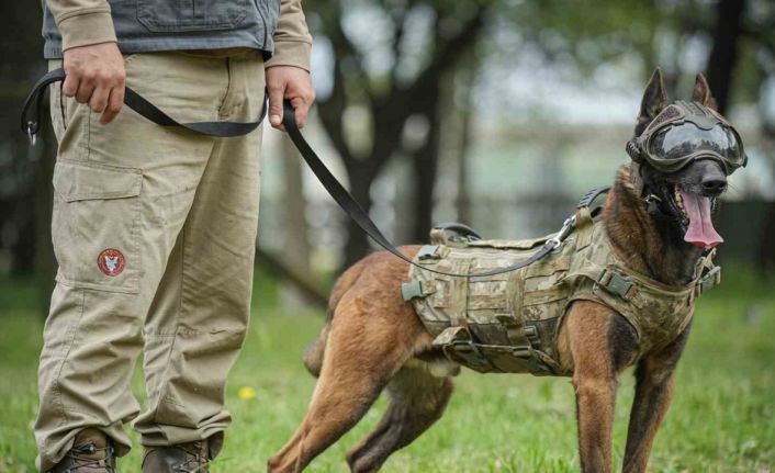 Vatan savunması can dostlara emanet