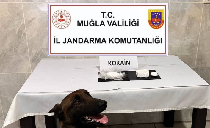 Yatağan’da yolcu otobüsünde 290 gram kokain yakalandı