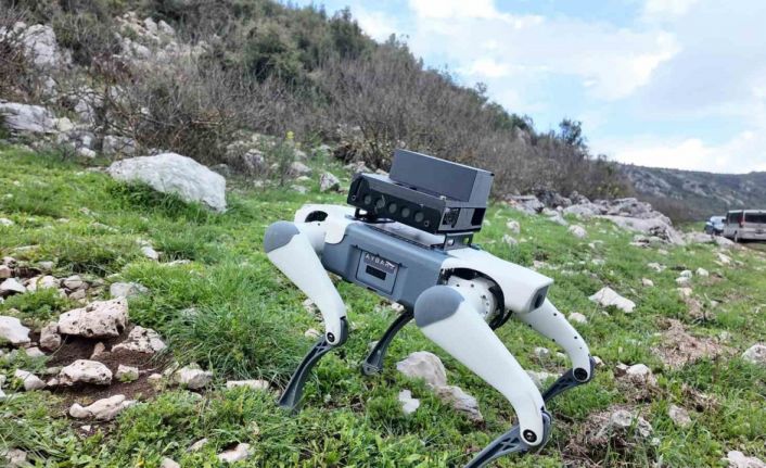 Yerli savunma sanayi firmasından robotik köpek atılımı: "AyBARS"