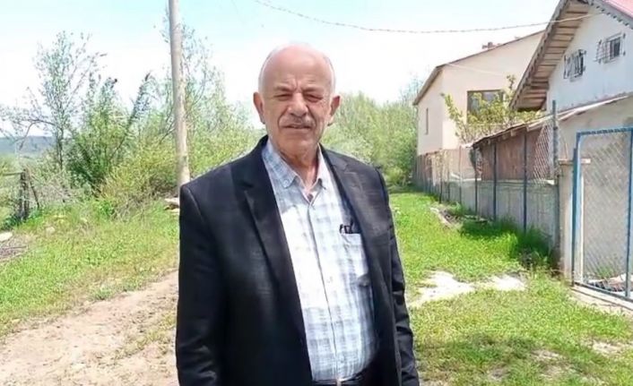 Yolda rastladığı yavru baykuşla kurduğu diyalog iç ısıttı