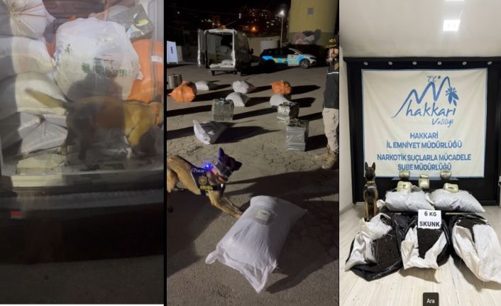 Yüksekova’da kargo aracında 6 kilo skunk ele geçirildi