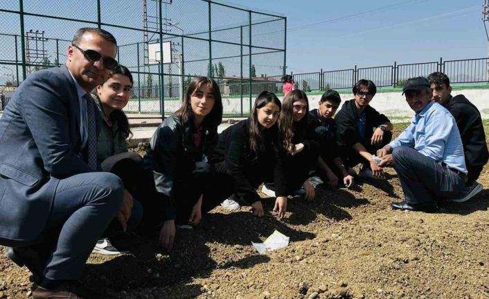 Yüksekova’da öğrenciler kendi sebzelerini yetiştiriyor