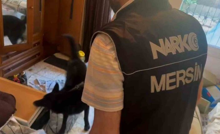Zehir taciri kilolarca uyuşturucu ve 375 bin TL ile yakalandı
