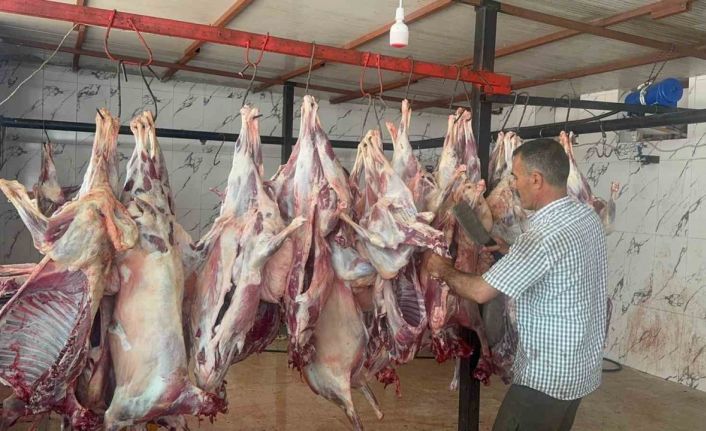 300 yetim ve ihtiyaç sahibi aileye 44 hayvan eti ulaştırıldı