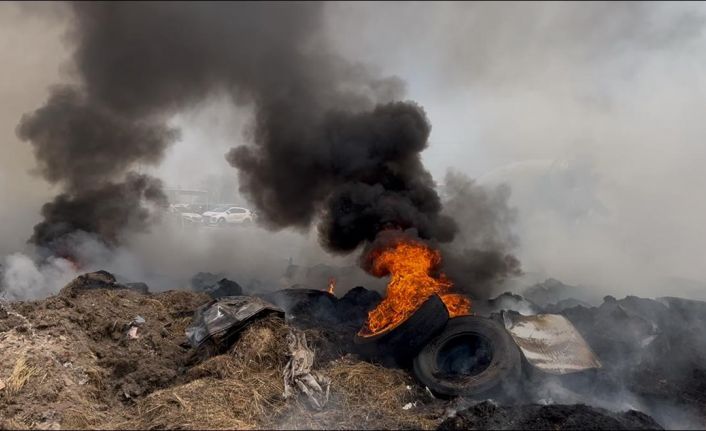 5 bin 600 ot balyası yanmıştı: Tekrar alevlendi