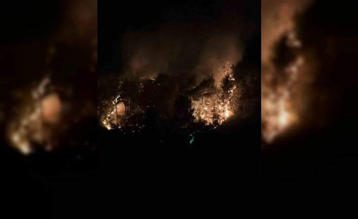 Adana Kozan’da orman yangını büyümeden söndürüldü