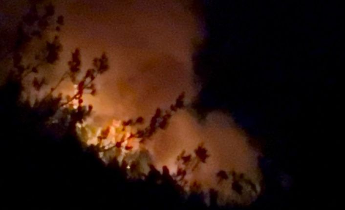 Adana ve Osmaniye’de 14 farklı noktada orman yangını çıktı, 13’ü kontrol altında