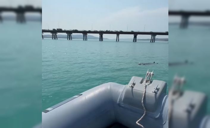 Adana’da baraj gölüne düşen kadını gemi adamlar kurtardı