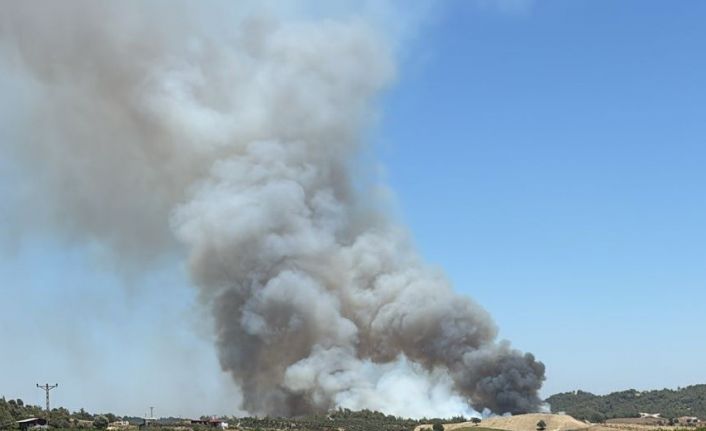 Adana’da orman yangını