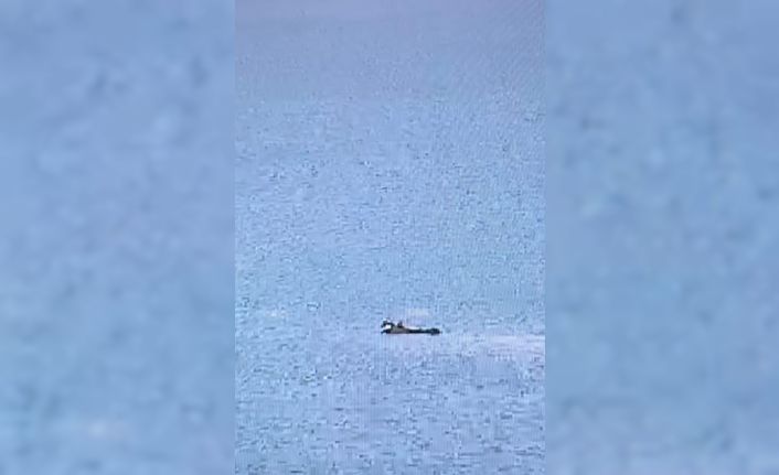 Adana’da yangın söndürme uçağı düştü