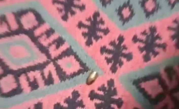 Adana’da yorgun mermi, ailenin oturduğu çardağa isabet etti