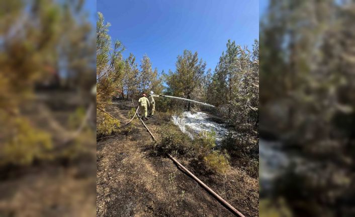 Adana’daki orman yangını kontrol altına alındı