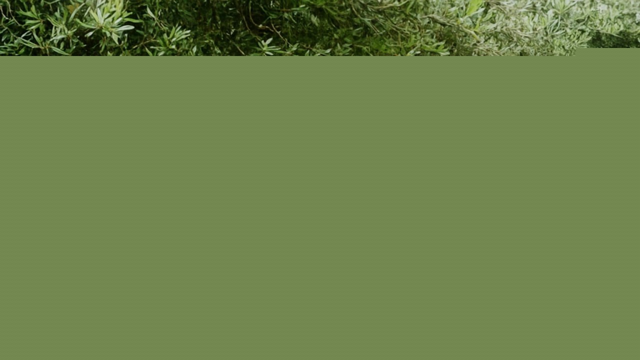 ADÜ Teknokent’te, hasar gören beyin hücrelerinin onarımı için çalışma başlatıldı