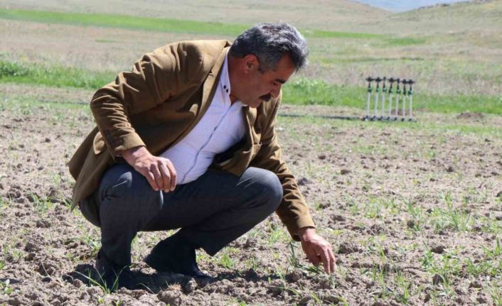 Ağrı Diyadin’de üretim seferberliği