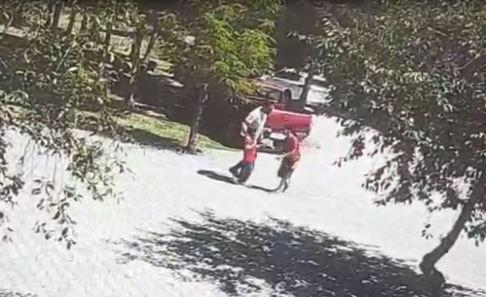 Ahlat’ta başıboş köpeklerin saldırısına uğrayan çocuk son anda kurtarıldı