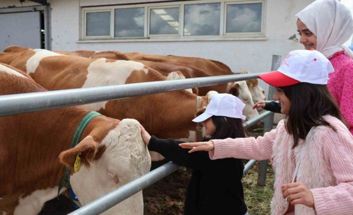 Aileyle üretim yolculuğu: Modern tesislerden tandıra, nesiller buluştu