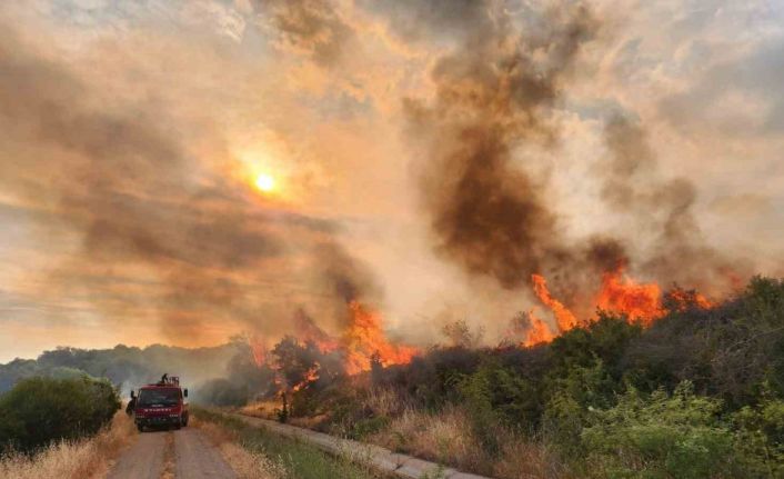 AK Partili Gider, orman yangınlarına karşı vatandaşları sorumluluk ve duyarlılığa davet etti