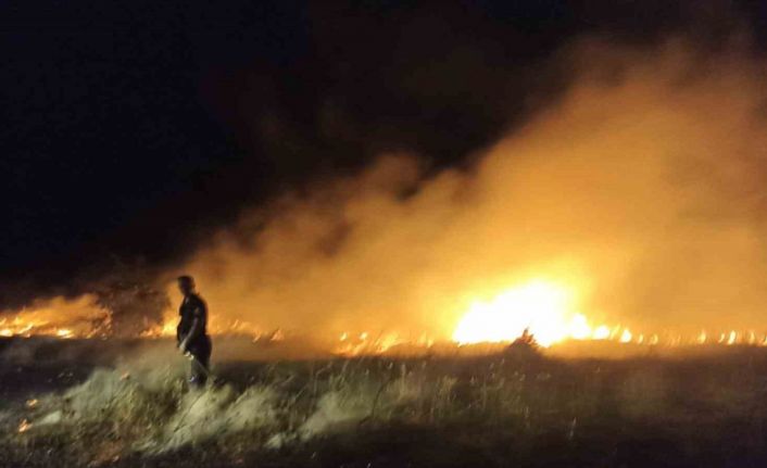 Akçadağ’da bahçe ve sazlık yangını: 25 Kayısı ağacı zarar gördü