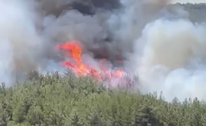Akhisar’da başlayan orman yangınına müdahale devam ediyor