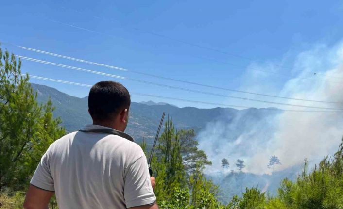Alanya’daki yangınını kontrol altına alınması çalışmaları devam ediyor