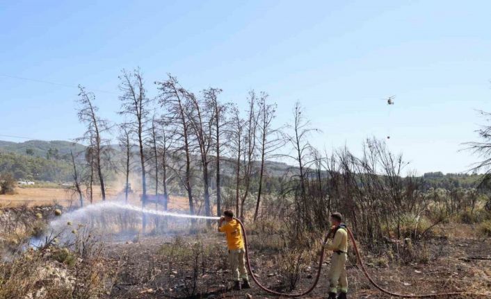 Alevler ormana sıçramadan söndürüldü