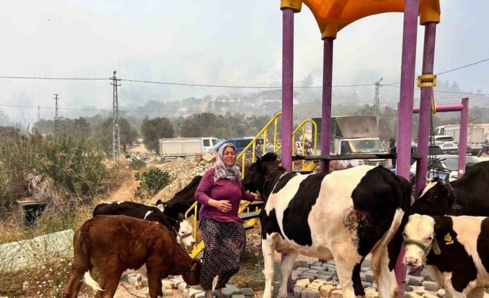 Alevlerin sıçradığı ahırından ekiplerin yardımıyla hayvanları kurtardı