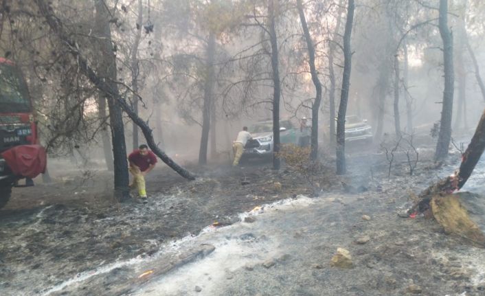 Aliağa ve Foça’da orman yangınında ekiplerin zorlu mücadelesi