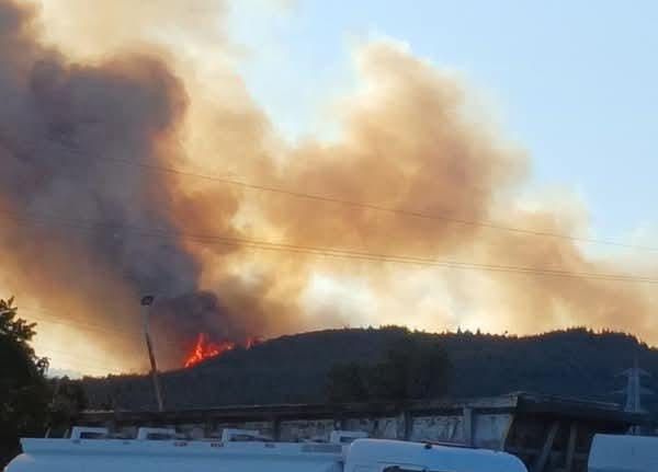 Aliağa’daki orman yangıyla ilgili 1 kişi tutuklandı