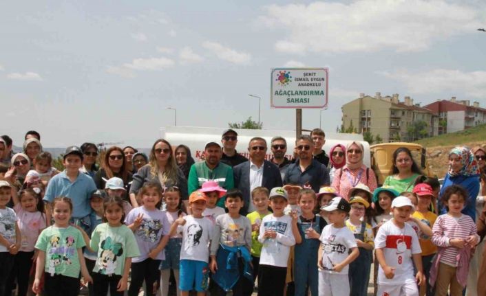 Anaokulu öğrencileri 500 fidan dikti