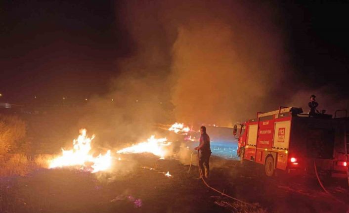 Anız yangınında ağaçlar, direkler ve kablolar zarar gördü