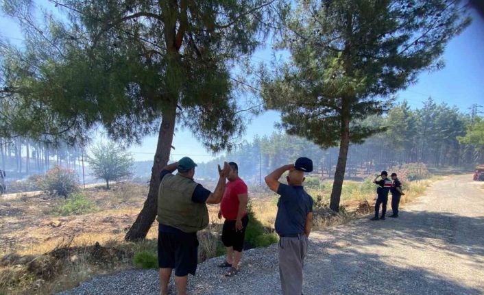 Antalya Aksu’da orman yangını kontrol altına alındı