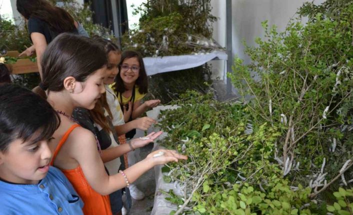 Antalya’da kaybolan meslekler arasında yer alan ipekböcekçiliği geri dönüyor