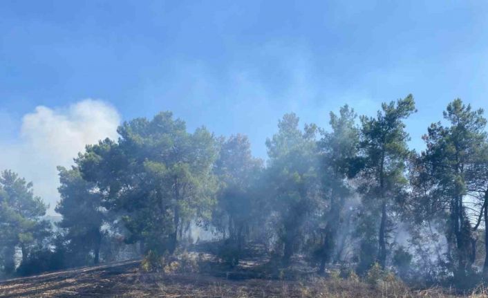Antalya’da ormanlık alanda çıkan yangın 2 saatte kontrol altına alındı